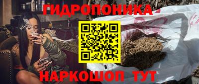 крисы Балаково
