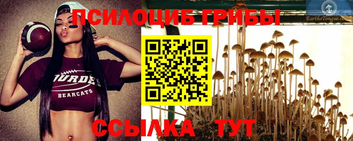 Галлюциногенные грибы мицелий Елизово