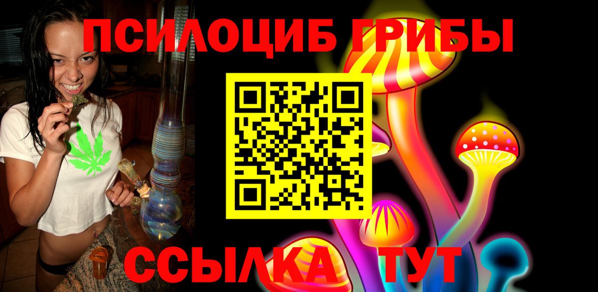Псилоцибиновые грибы мицелий  Вход с VPN  Елизово  Псилоцибиновые грибы Psilocybine cubensis 